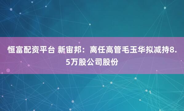 恒富配资平台 新宙邦：离任高管毛玉华拟减持8.5万股公司股份